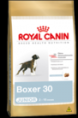 Royal Canin Boxer Junior
